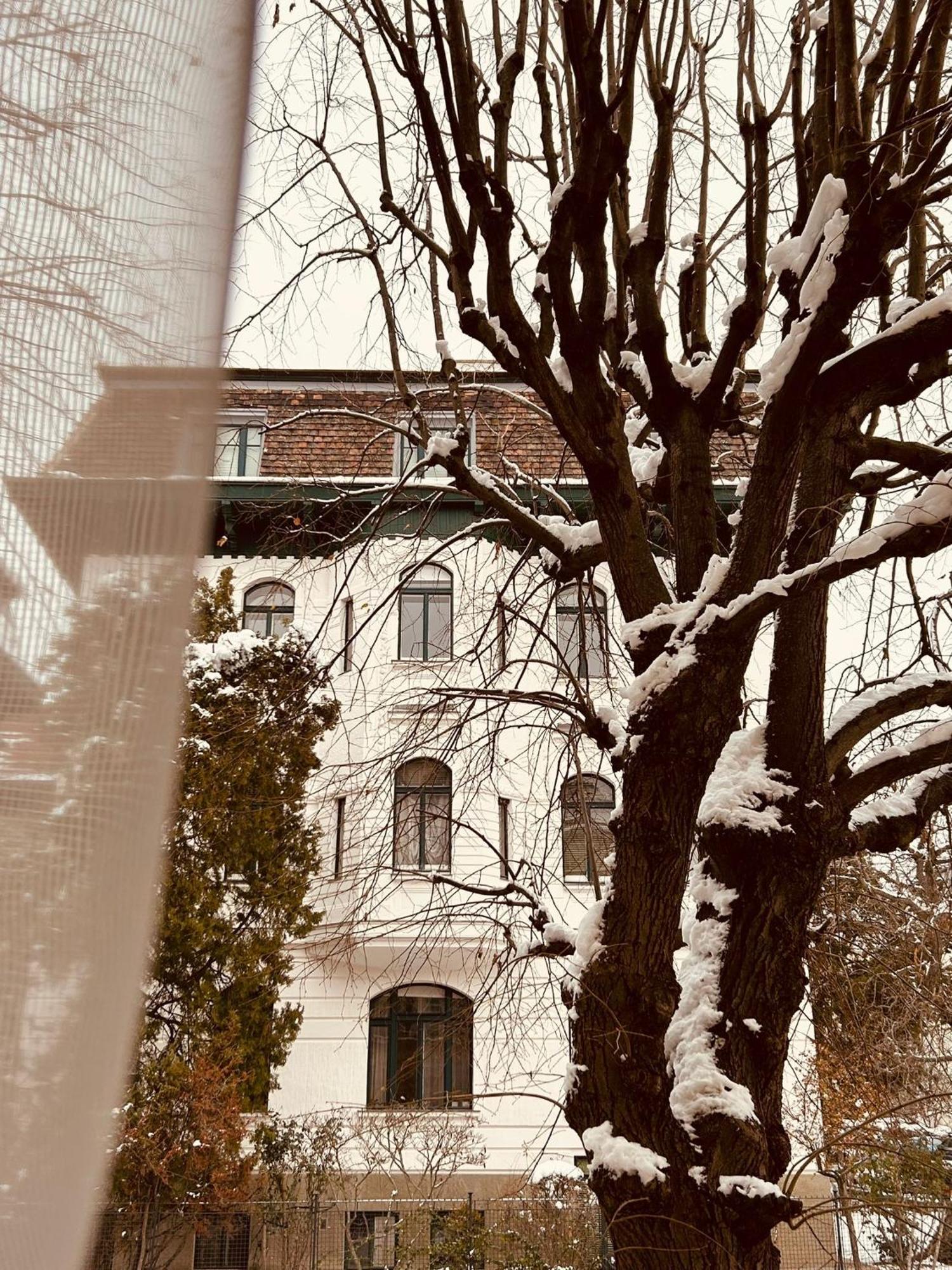 Apartment 5 Min Schoenbrunn Gloriette, Direct To City Center, Free Parking Viena Exterior foto